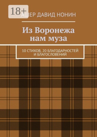 Ашер Давид Нонин. Из Воронежа нам муза. 10 стихов, 20 благодарностей и благословений