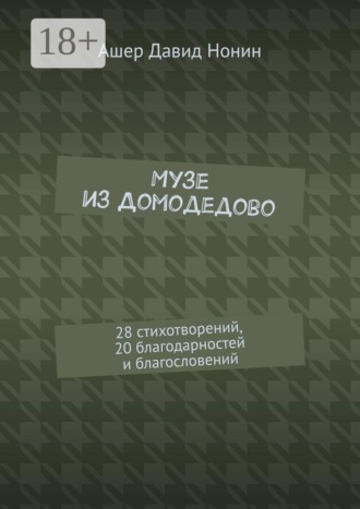Ашер Давид Нонин. Музе из Домодедово. 28 стихотворений, 20 благодарностей и благословений