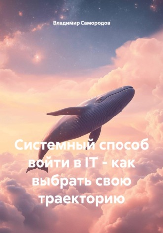 Владимир Самородов. Системный способ войти в IT - как выбрать свою траекторию