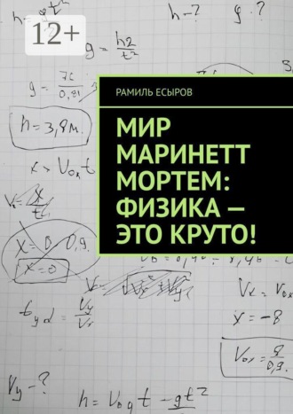 Рамиль Есыров. Мир Маринетт Мортем: физика — это круто!