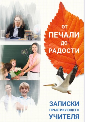 Елена Костырева. Елена Костырева   От печали до радости. Записки практикующего учителя