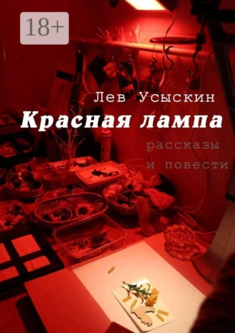 Лев Борисович Усыскин. Красная лампа. рассказы и повести
