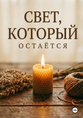Дина Владимирова. Свет, который остаётся