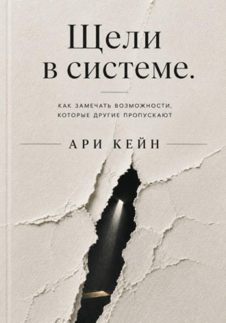 Ари Кейн. Щели в системе. Как замечать возможности, которые другие пропускают