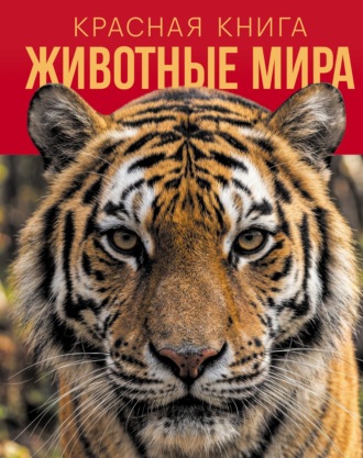Василий Климов. Красная книга. Животные мира