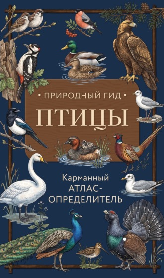 . Птицы. Карманный атлас-определитель