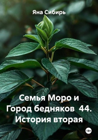 Яна Сибирь. Семья Моро и Город бедняков  44. История вторая