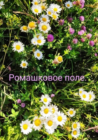 Римма Хамзина. Ромашковое поле