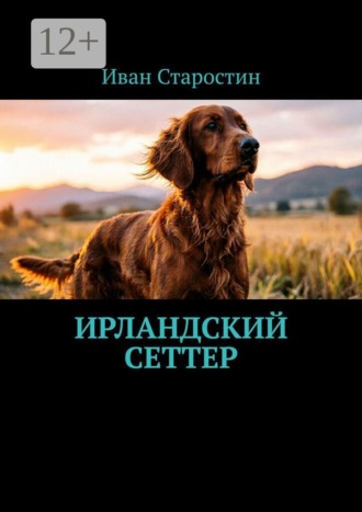 Иван Старостин. Ирландский сеттер