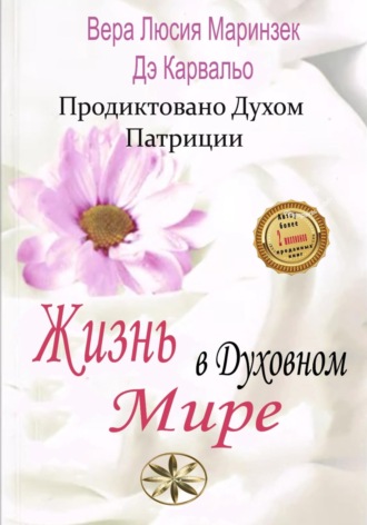 Вера Люсия Маринзек де Карвальо. Жизнь в Духовном Мире
