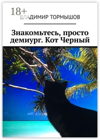Владимир Тормышов. Знакомьтесь, просто демиург. Кот Черный