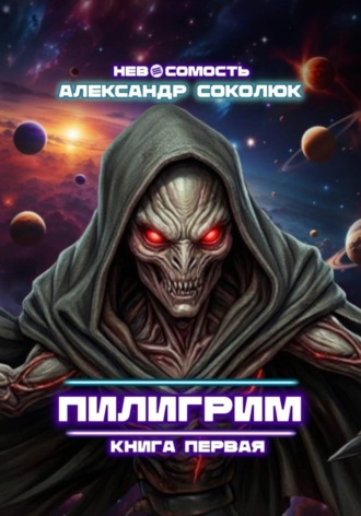 Александр Соколюк. Пилигрим: книга первая
