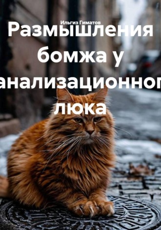 Ильгиз Гиматов. Размышления бомжа у канализационного люка