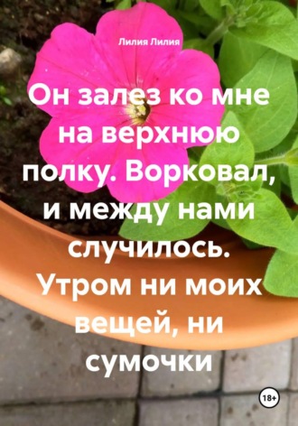 Лилия Лилия. Он залез ко мне на верхнюю полку. Ворковал, и между нами случилось. Утром ни моих вещей, ни сумочки