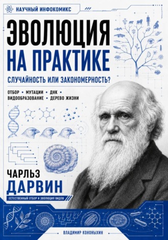 Владимир Кононыхин. Эволюция на практике