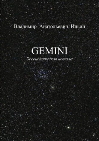 Владимир Ильин. GEMINI. Эссеистическая новелла