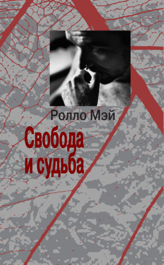 . Свобода и судьба