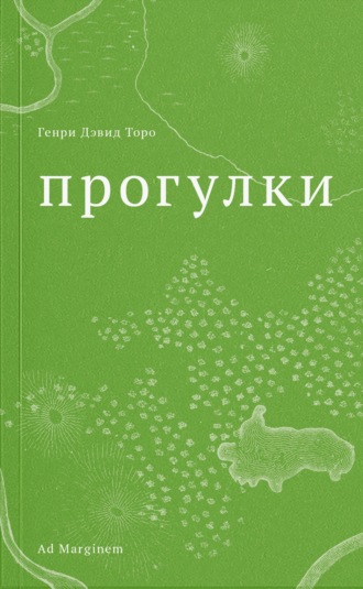 Генри Дэвид Торо. Прогулки