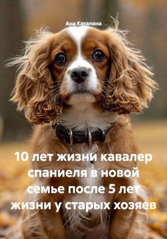. 10 лет жизни кавалер спаниеля в новой семье после 5 лет жизни у старых хозяев