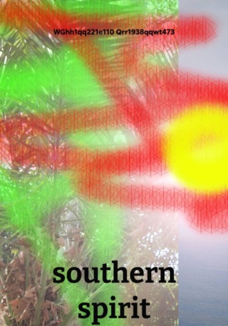 WGhh1qq221e110 Qrr1938qqwt473. southern spirit