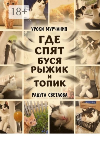 Радуга Светлова. Где спят Буся, Рыжик и топик. Уроки мурчания