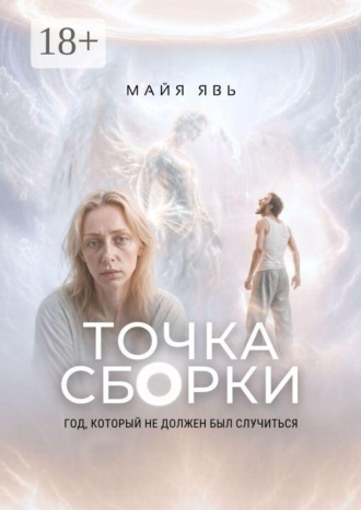 Майя Явь. Точка сборки