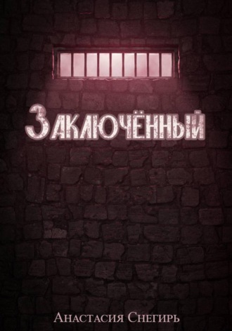 Анастасия Снегирь. Заключённый