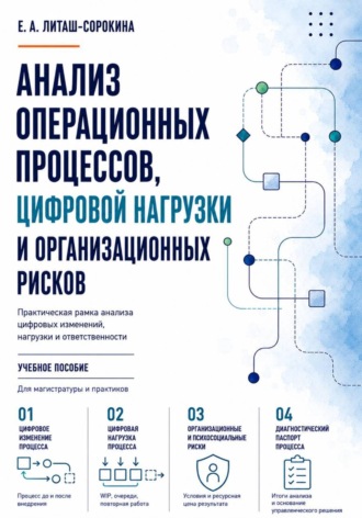 Елена Литаш-Сорокина. Анализ операционных процессов, цифровой нагрузки и организационных рисков