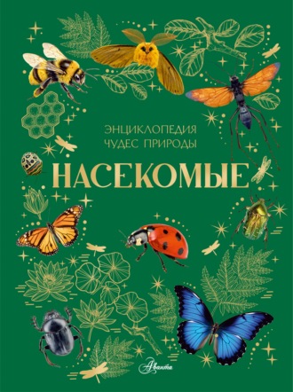 А. Г. Ярович. Насекомые