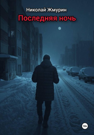 Николай Жмурин. Последняя ночь