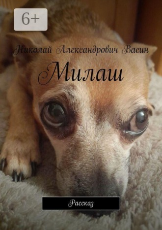 . Милаш. Рассказ
