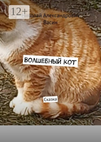. Волшебный кот. Сказка