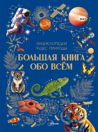 В. В. Ликсо. Большая книга обо всём