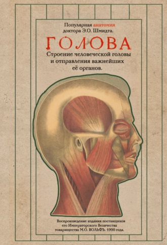 Эдуард Оскар Шмидт. Голова. Строение человеческой головы и отправления важнейших её органов