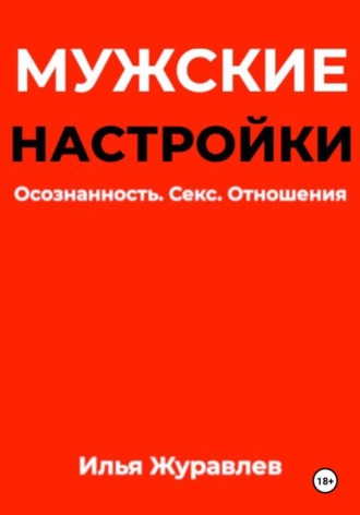 Илья Журавлев. Мужские настройки. Осознанность. Секс. Отношения