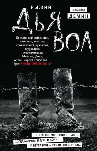 . Рыжий дьявол