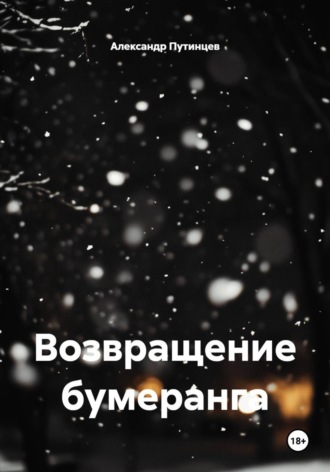 Александр Путинцев. Возвращение бумеранга