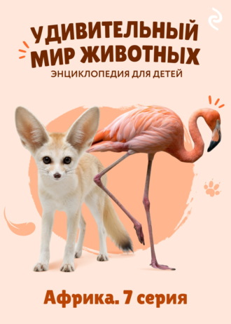 Наталия Баранова. Удивительный мир животных. Африка. 7 серия