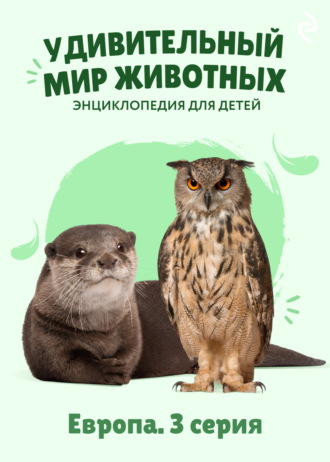 Наталия Баранова. Удивительный мир животных. Европа. 3 серия