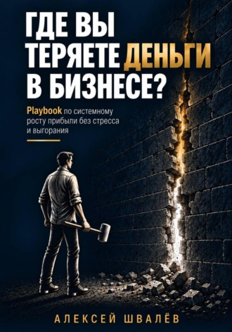 Алексей Сергеевич Швалёв. Где вы теряете деньги в бизнесе?