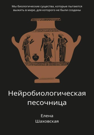 Елена Шаховская. Нейробиологическая песочница