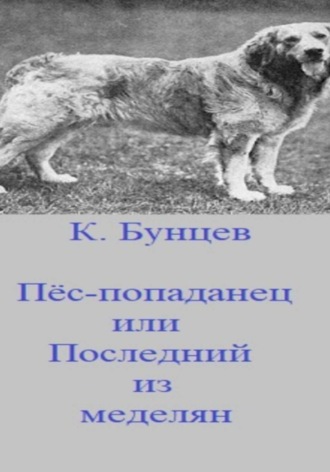 Константин Эдуардович Бунцев. Пёс-попаданец, или Последний из меделянок