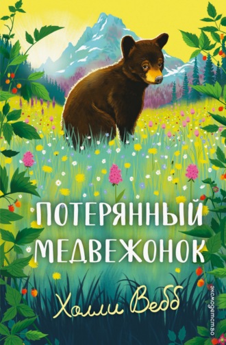 Холли Вебб. Потерянный медвежонок