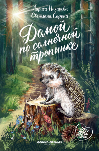 Светлана Сорока. Домой по солнечной тропинке