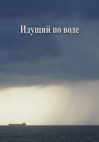 Владимир Владимирович Нефедов. Идущий по воде