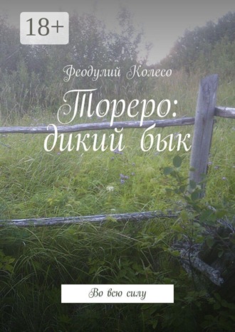 Феодулий Колесо. Тореро: дикий бык. Во всю силу