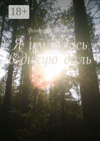 Феодулий Колесо. Я умчалась в дикую даль