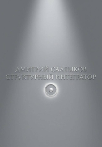 Дмитрий Салтыков. Структурный интегратор