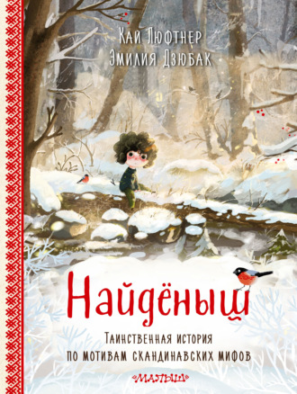 Кай Люфтнер. Найденыш