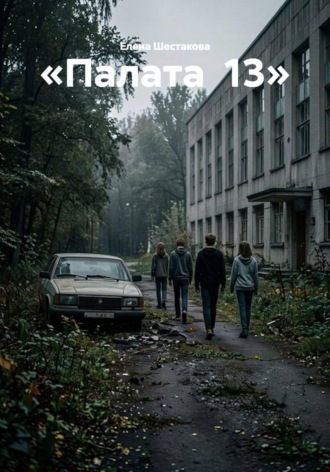 Елена Шестакова. Палата  13